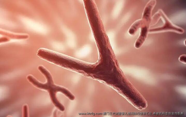 厦门三代试管婴儿医院排行榜新汇总,再被机构虚假宣传愚弄