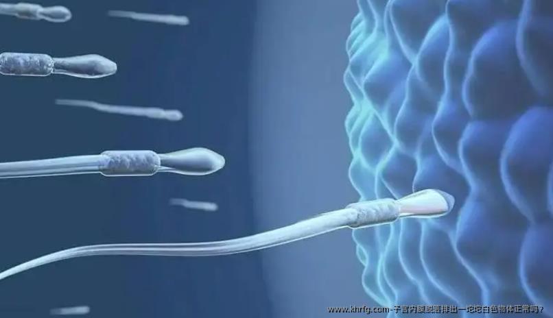 子宫内膜脱落排出一坨坨白色物体正常吗？