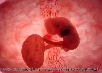 2025年在铁门关市公立医院做试管婴儿的成功率高不高?如何提高试管婴儿成功率?