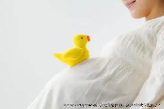 胎儿6号染色体缺少多少mb就不能要了？