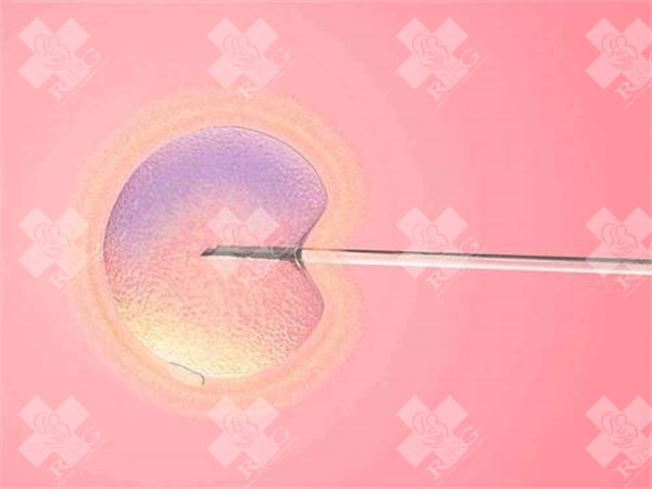 2025年在九江市做高龄试管婴儿的成功率有多少？高龄试管婴儿有哪些注意事项？