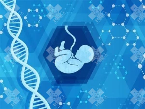 上海一妇婴和九院试管婴儿大比拼？哪家技术好看了就知