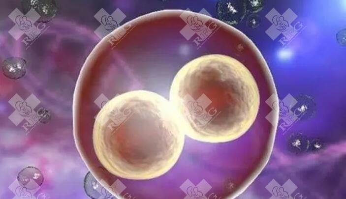 试管甲状腺囊肿不能怀孕吗 甲状腺囊肿可以备孕吗！