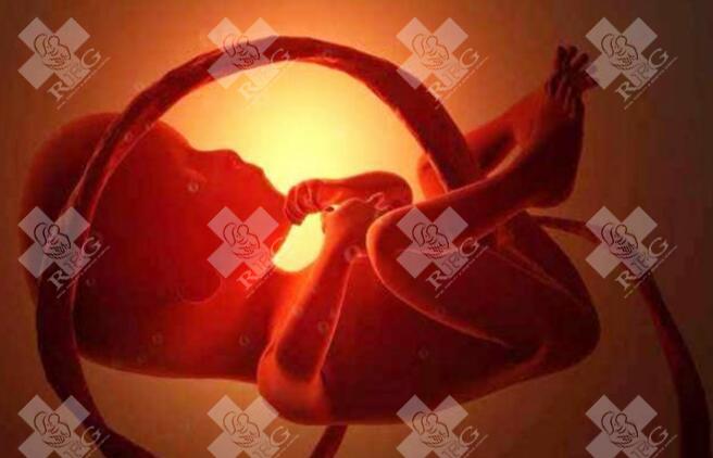 什么病会影响做试管成功率 哪些病会影响不孕不育！