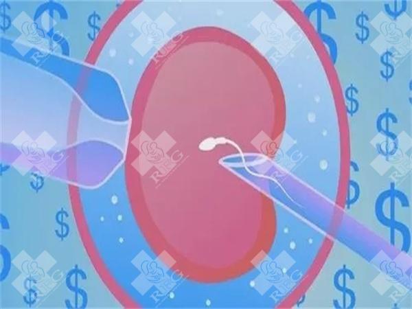 枣庄市妇幼保健院一代试管胚胎移植放几个比较理想？