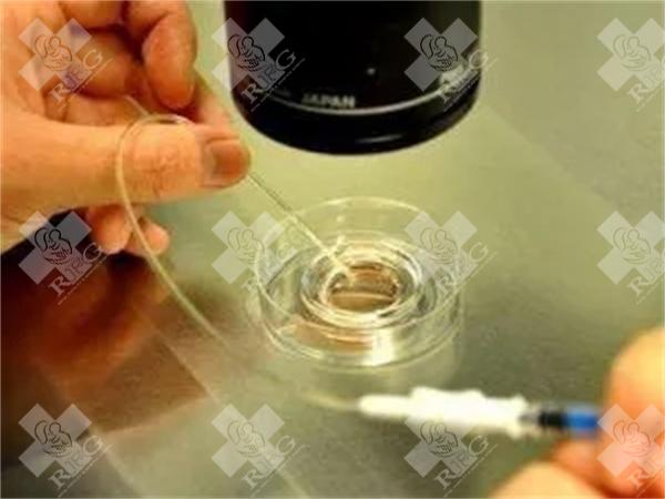 2025沧州中西医结合医院试管婴儿费用，其实单胎双胎费用一样