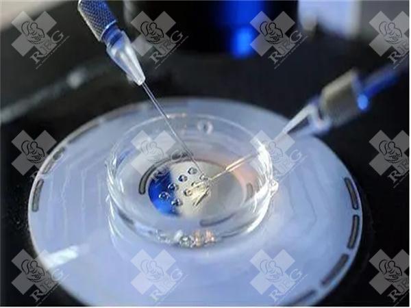 恩施州本地有没有做试管婴儿的医院？妇儿医院可以吗？