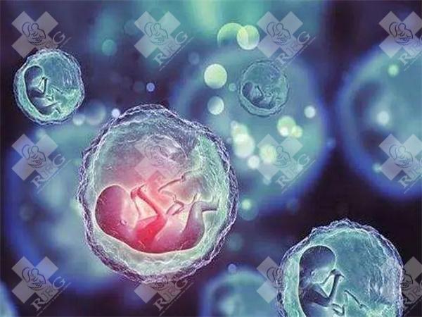 中南大学湘雅三医院试管技术解析？身体因素影响成功率