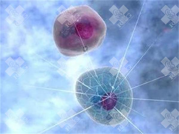 2025年景洪市有哪些私立医院可以做第三代试管婴儿？一般需要多少钱？