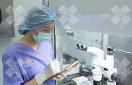 泰国三代试管婴儿的费用和成功率一览！