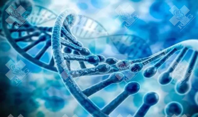 2024诺奖揭晓！2大角度解读micro RNA转录后基因调控中的作用对辅助生殖的影响！