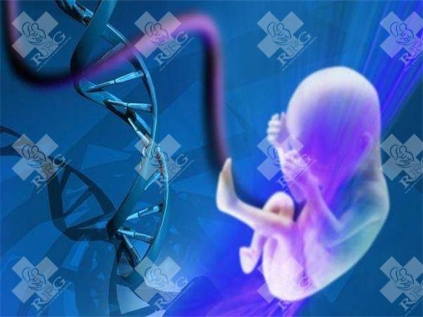得了多囊卵巢综合症该怎么办？如何治疗？