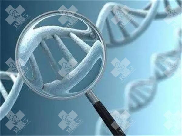 贵州遵医附院做试管第二次冻胚移植的费用大约是多少钱？