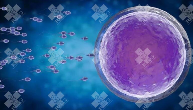 刚生完孩子做试管成功率高吗(生完孩子多久可以做试管卵泡取出?)