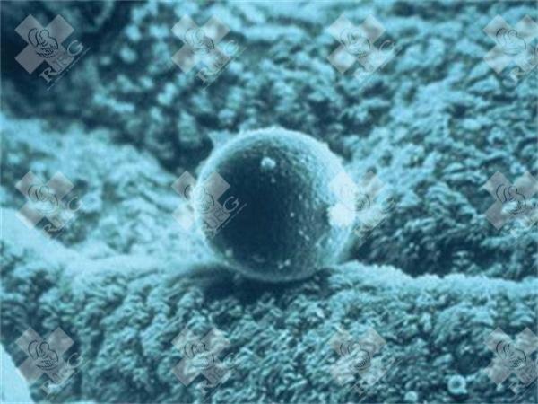 苏州大学第一附属医院做试管成功率高的生殖专家有哪些？