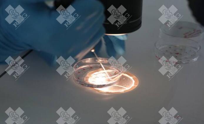 泰国十大正规试管医院名单出炉，附2025年试管整体收费标准！