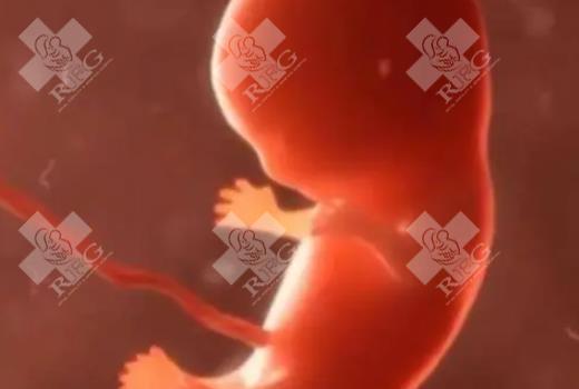 35岁以上做试管婴儿成功率低，那有什么方法可以提高吗？