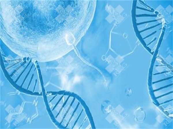 去广东做三代试管婴儿要花多少钱?费用至少在8-10万元左右!