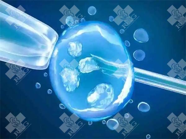 2025贵州试管婴儿医院大公开，单周期费用全知晓！