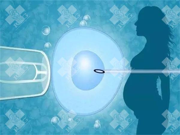 孕期血液检查很重要。血液检查白细胞高怎么办？