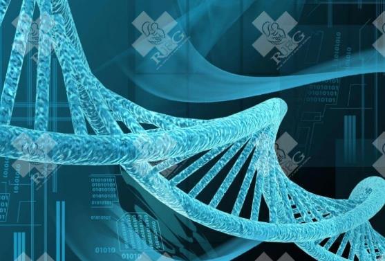 哪些因素会影响PGT-A技术在高龄女性中的临床应用效果？