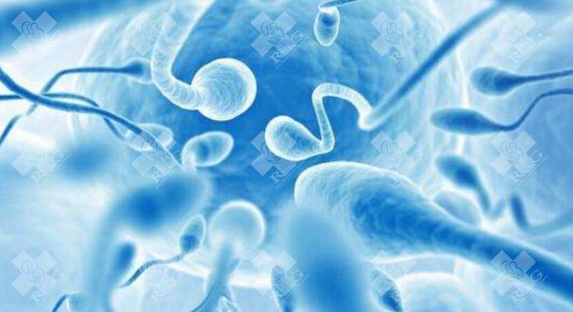 抗精子抗体是引起女性不孕的常见原因之一？女性不孕的具体原因盘点？