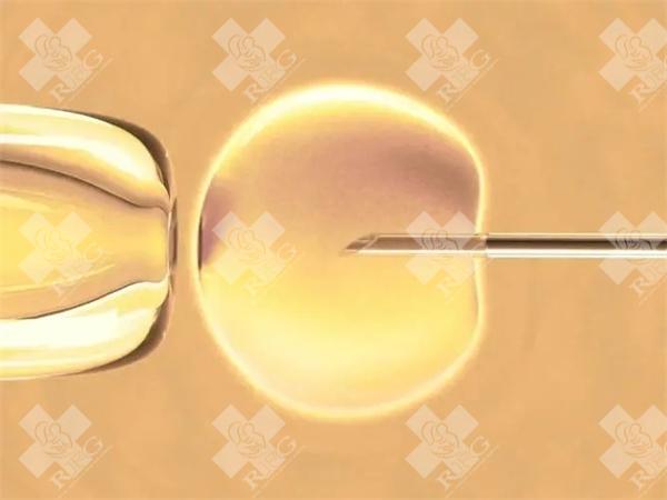 2025年在界首市做试管婴儿费用多少？成功率如何？