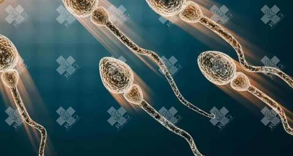 女性不孕的5大原因？要及时找出原因对症治疗？