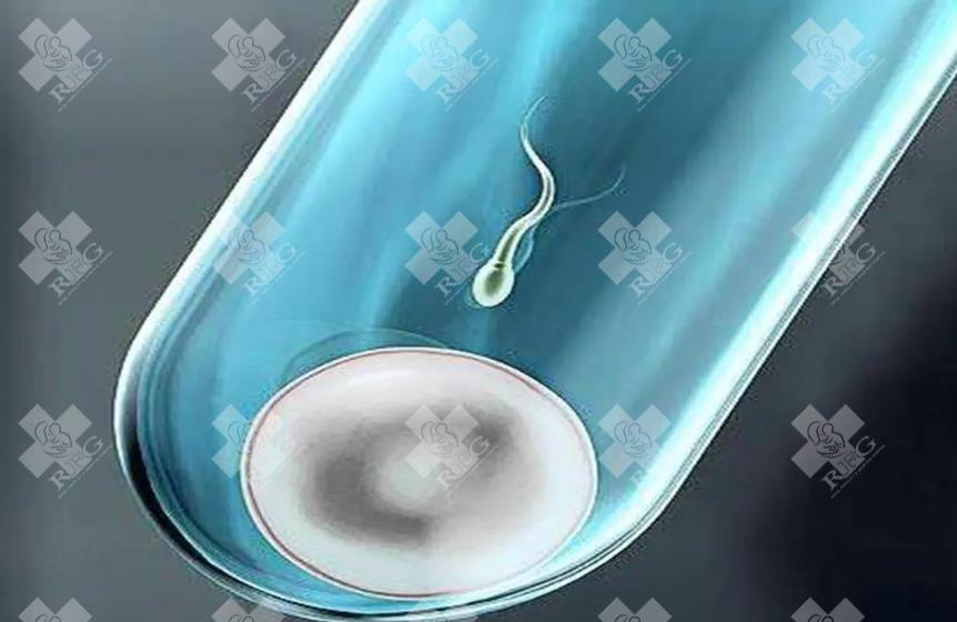 子宫内膜增生对试管婴儿的影响-昆明和万家更专业？