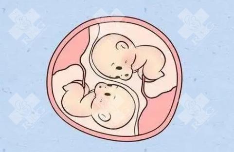 试管婴儿助孕值得注意的事项